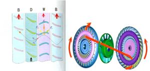 Һ��׃��������ϵ�y(t��ng)�������c����