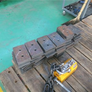 2018111102 ���������^